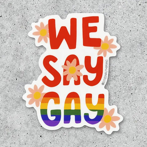 Citizen Ruth Stickers We Say Gay