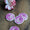 NNK Press Ceramic Button Vintage Florals