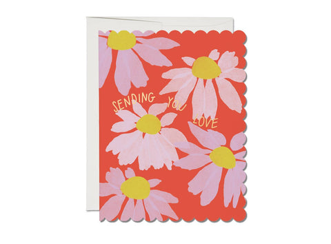 Red Cap Card Scalloped Coneflower Sympathy