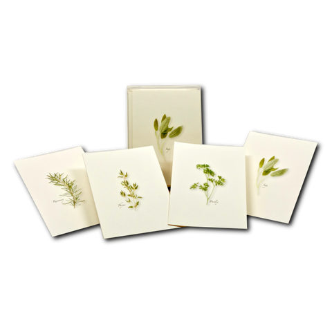 ES+W Card Set Herb Assortment