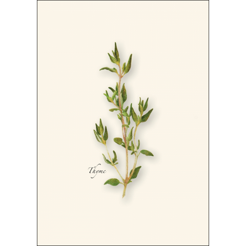 ES+W Card Set Herb Assortment