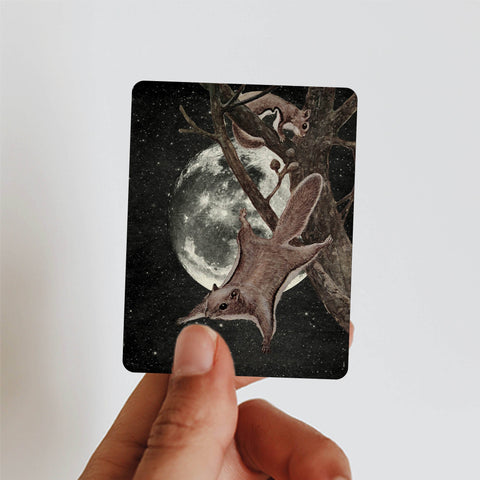 Galek Sea Sticker Squirrel Away