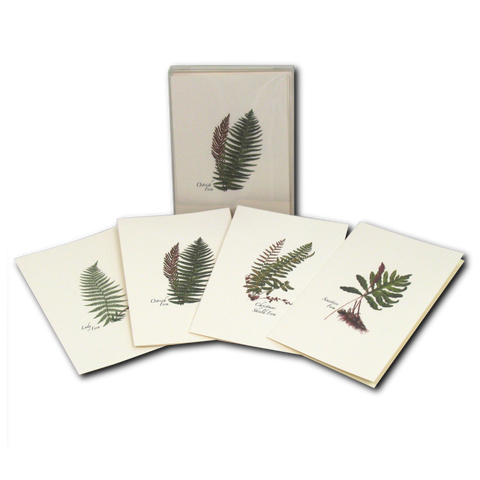 ES+W Card Fern Assortment