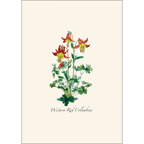 ES+W Card Set Western Wildflower Assortment