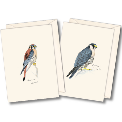 ES+W Card Set Sibley Raptor