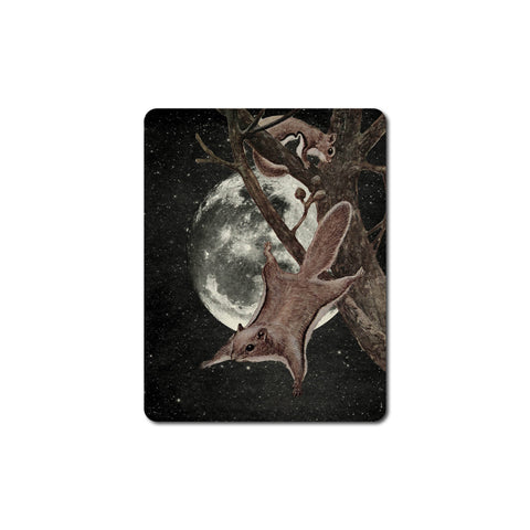 Galek Sea Sticker Squirrel Away