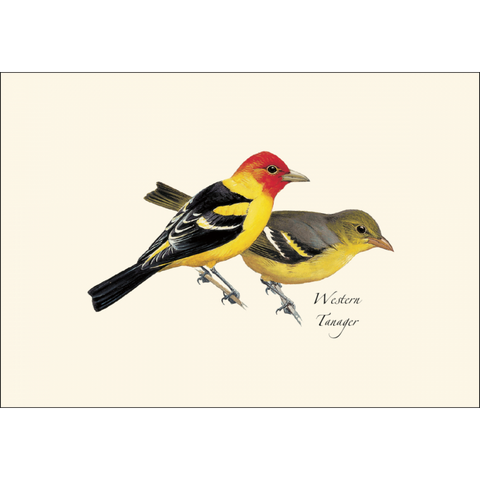 ES+W Card Set Peterson Western Bird