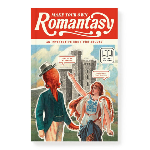 Brass Monkey Make Your Own Romantasy Book