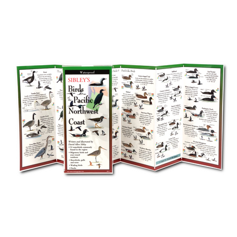 ES+W Sibley's Birds of the Pacific Northwest Coast