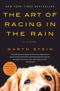 Art of Racing in the Rain