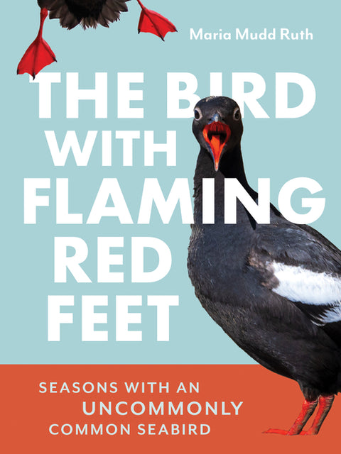 Bird with Flaming Red Feet: Seasons with an Uncommonly Common Seabird - Ingram
