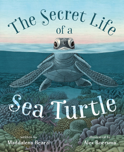 Secret Life of a Sea Turtle - Ingram