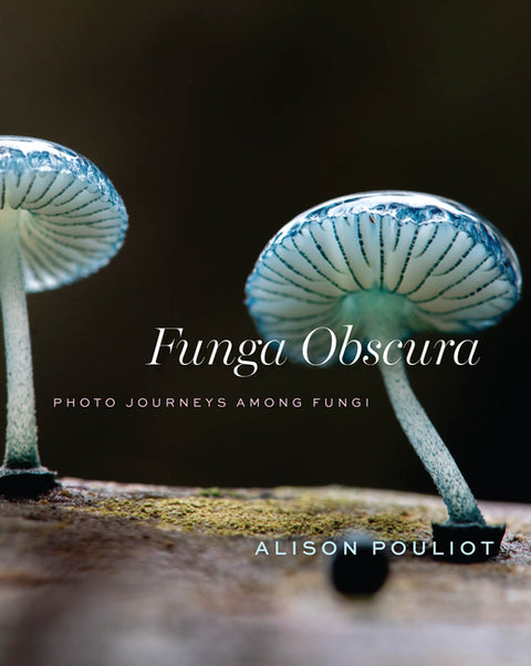 Funga Obscura: Photo Journeys Among Fungi - Ingram