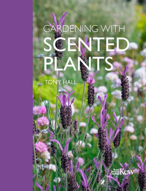 Gardening with Scented Plants - Ingram