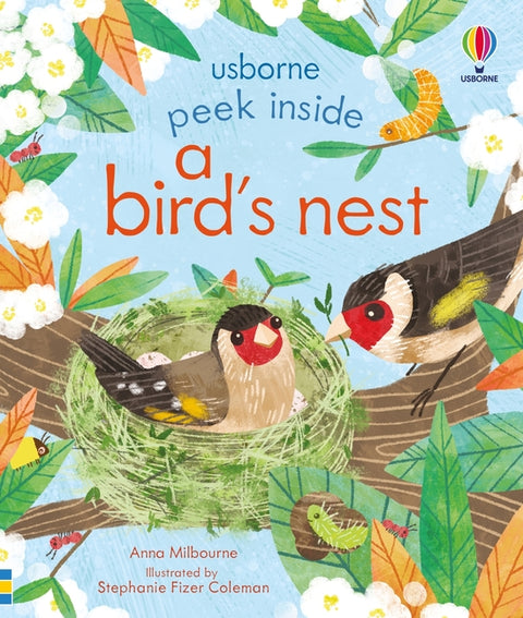 Peek Inside a Bird's Nest - Ingram