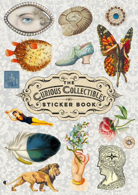 Curious Collections Sticker Book - Ingram