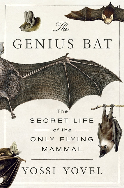 Genius Bat: The Secret Life of the Only Flying Mammal - Ingram